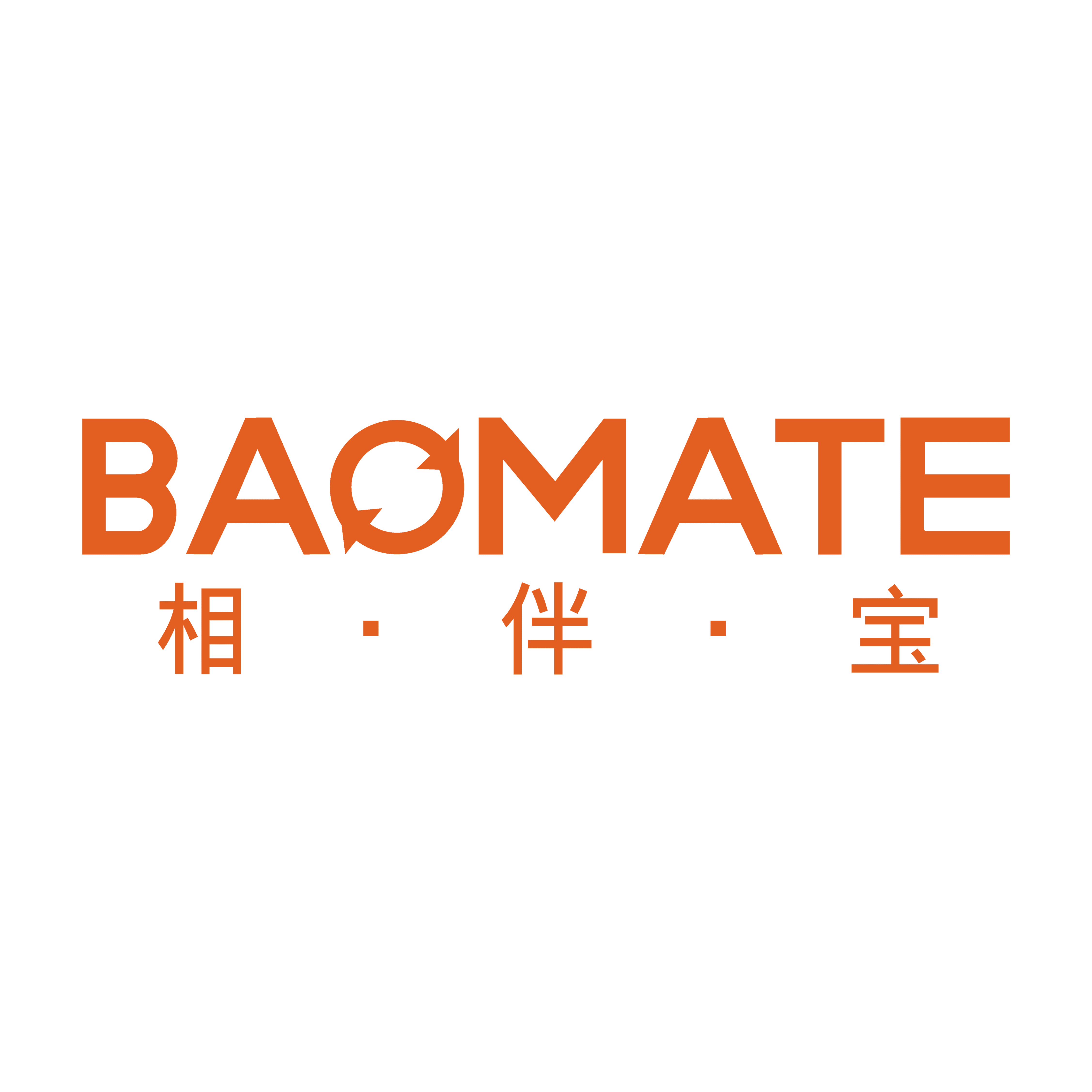 Baomate IC IT